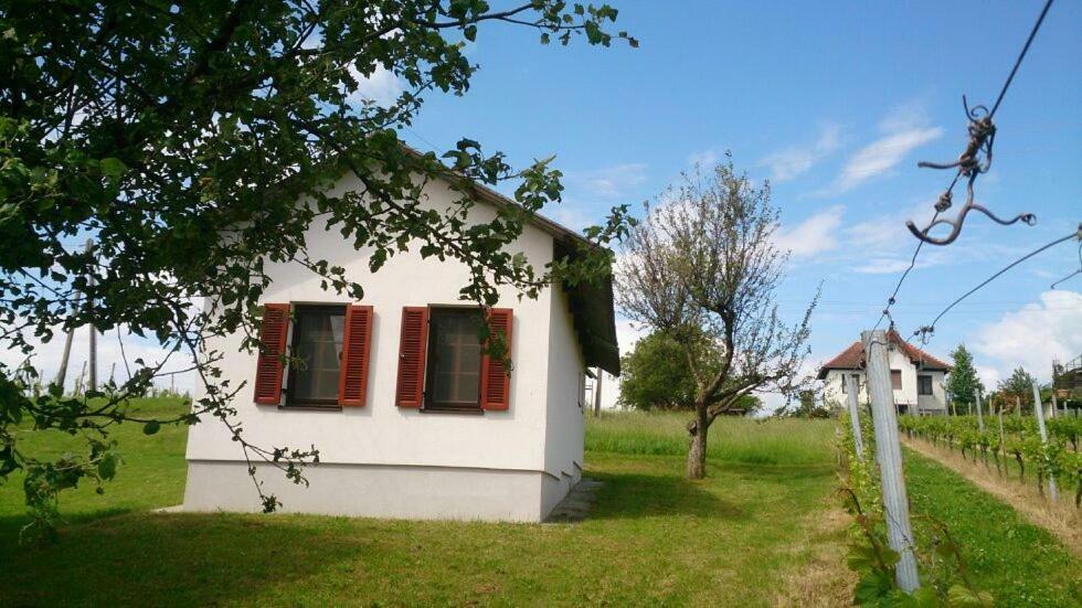 Appartamento Altes Presshaus Eberau Esterno foto